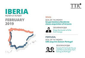 Mercado Ibérico - Febrero 2019